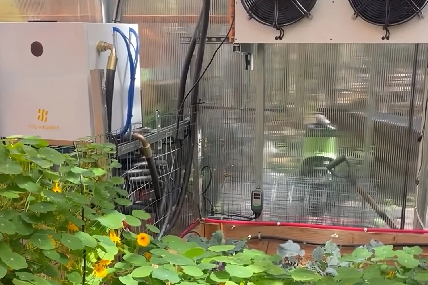 A Fog Hashing tank and an indoor dry cooler inside a polycarbonate greenhouse, planting beds in front